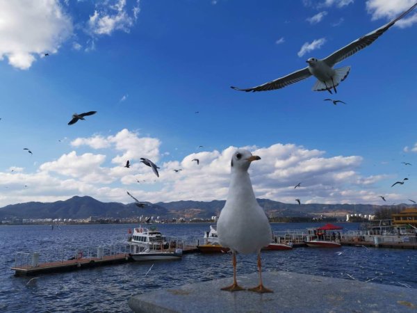 天载配资 一季度哪些区域消费增速快？中部人口大省贡献大 县域消费占比提升