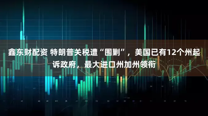 鑫东财配资 特朗普关税遭“围剿”，美国已有12个州起诉政府，最大进口州加州领衔