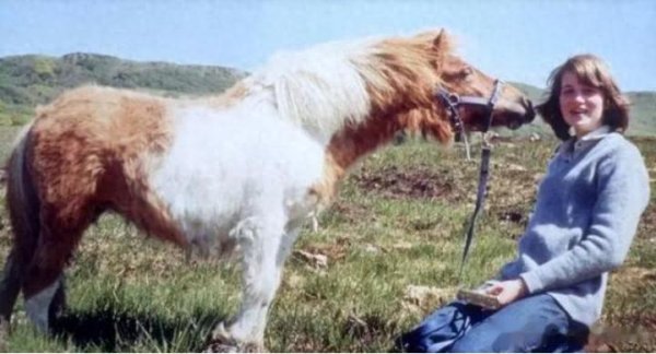 金八号配资 英国80岁老人临终前爆料: 戴安娜并非车祸离世, 其实早有预谋