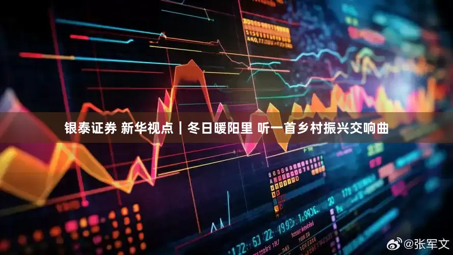 银泰证券 新华视点｜冬日暖阳里 听一首乡村振兴交响曲
